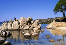 浙江人才招聘网最新招聘2025年,急招图书管理员一名